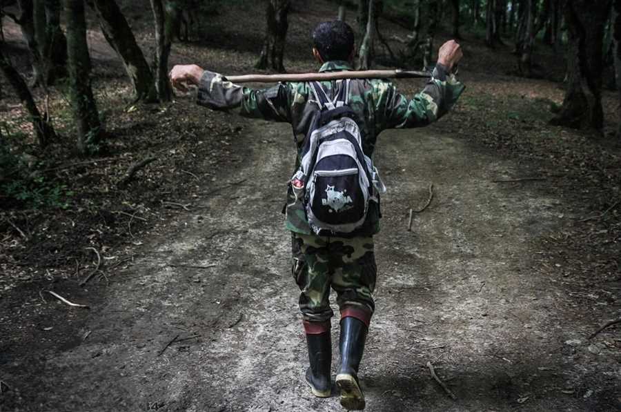 جنگلبانان نمونه مازندران معرفی شدند